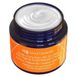 SeoulCeuticals-Korean-Skin-Care-Snail-Mucin-Repair-Cream-Korean-Moisturizer-Night-Cream-975-Snail-Mucin-Extract-All-In-One-Recovery-Power-For-The-Most-Effective-K-Beauty-Routine-2oz-0