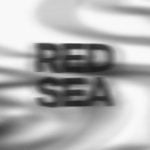 Red C – 1st Album [RED SEA]
