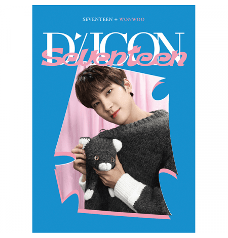 DICON D’FESTA MINI EDITION : SEVENTEEN