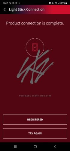 Stray Kids Official Lightstick photo review
