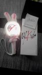 Stray Kids Official Lightstick photo review