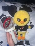 Stray Kids Official Lightstick photo review