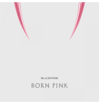 BLACKPINK - 2nd ALBUM [BORN PINK] KiT ALBUM