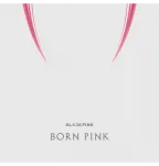 BLACKPINK - 2nd ALBUM [BORN PINK] KiT ALBUM