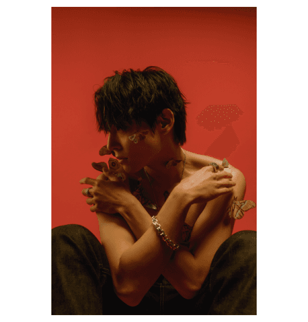 WOO SUNG - Album [MOTH]