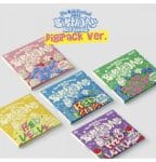 (Red Velvet) [The ReVe Festival 2022 - Birthday] (Digipack Ver.) (FULL SET).