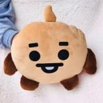 Kawaii-Kpop-Bts-Animal-Plush-Toys-Hand-Warmer-Bt21-Plushie-Stuffed-Pillows-Sofa-Cushion-Home-Warming