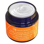 SeoulCeuticals Korean Skin Care 97.5% Snail Mucin Repair Cream - Korean Moisturizer Day Night Cream Snail Mucin Extract…