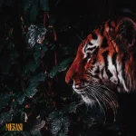 Mesani - [Jungle EP + Singles] (LP)