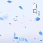 MIRROR - [백월(白月)]