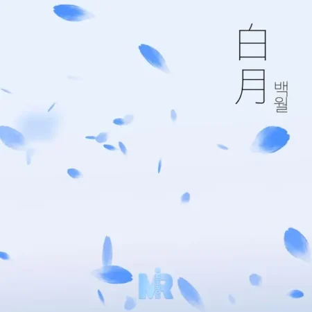 MIRROR - [백월(白月)]