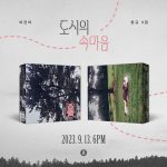 Jin Ah Lee - 3rd Album [도시의 속마음]