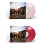DAY6 SUNRISE LP Random Ver