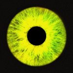 NO:EL - 4th EP Album [23'F/W]