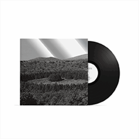 In the endless zanhyang we are - [우연의 연속에 의한 필연] (LP)