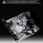 Silica Gel - 2nd Album [POWER ANDRE 99] (LP)