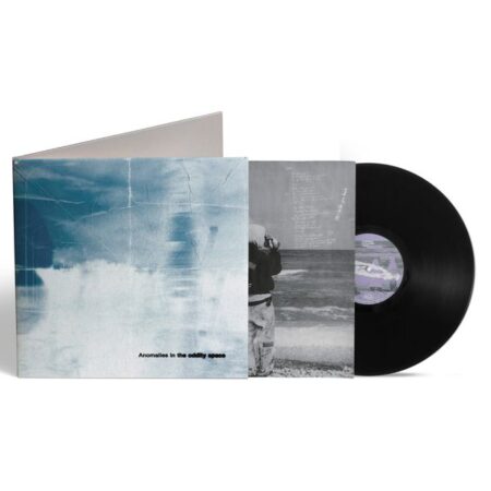 The Poles - [Anomalies in the oddity space] (LP)