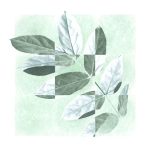 Park Jung Woong - EP Album [여름]