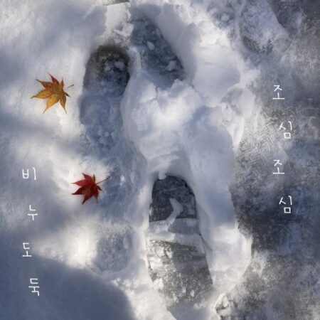 Bi Nu Do Duk - Album [조심조심]