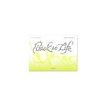 &TEAM - KR 1st Mini Album 'Back to Life’ Photocard Box (Weverse Albums ver.)