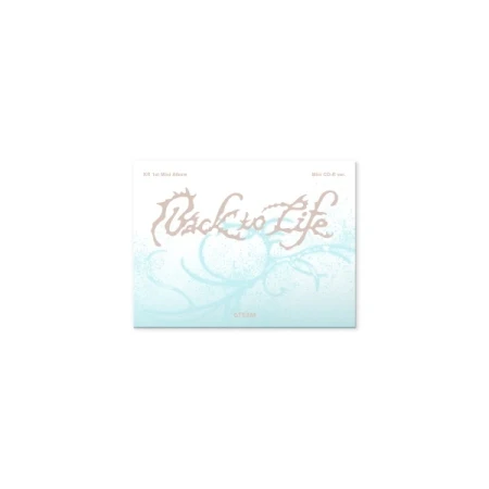&TEAM - KR 1st Mini Album 'Back to Life’ Photocard Box (Mini CD-R ver.)