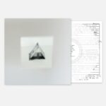 Wonstein - 1st Album [TENT] (LP)