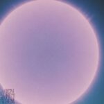 Men And Them - [Days Under The Purple Sun]