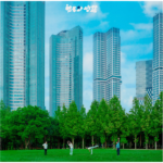 Electron Sheep – 4nd Album [합주와 생활] (Green Color LP)
