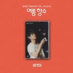 SON TAE JIN – Remake 1st Album [여름 향수] (CASSETTE TAPE Ver.)