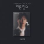 SON TAE JIN - Remake 1st Album [여름 향수] (PHOTO BOOK Ver.)
