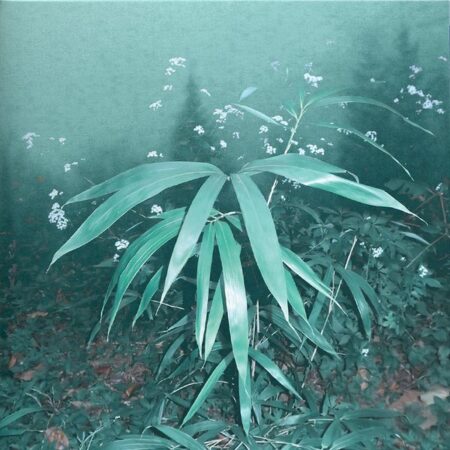 Shin Hae Gyeong - 1st Album [속꿈, 속꿈] (Special Marble Color LP)