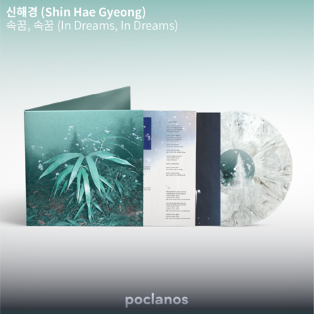 Shin Hae Gyeong - 1st Album [속꿈, 속꿈] (Special Marble Color LP)