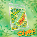 JAY B - Single Album [Chptr. 1] (Honeydew Ver.)