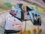 Stray Kids Lomo New Album Cards photo review